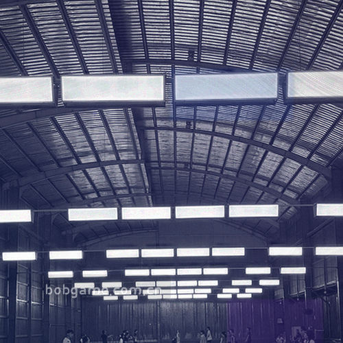 盾牌与链条构成的数据保护图形
